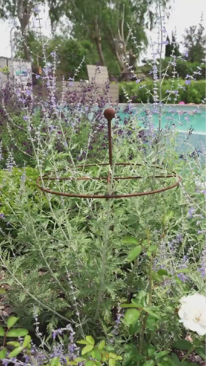 Metal Go-Through Plant Stake: Helicopter Style, Black or Rustic Finish