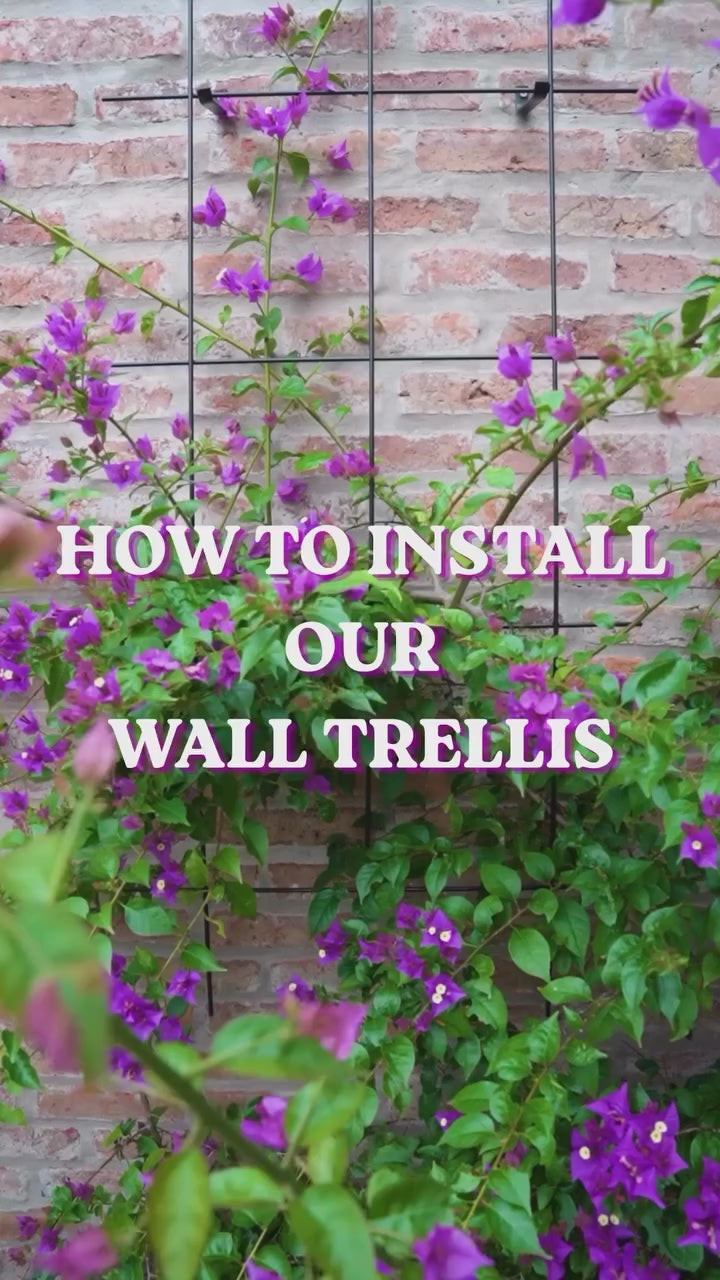 Metal Garden Wall Trellis: Plant Support for Climbing Plants -  Black, White or Rustic Finish
