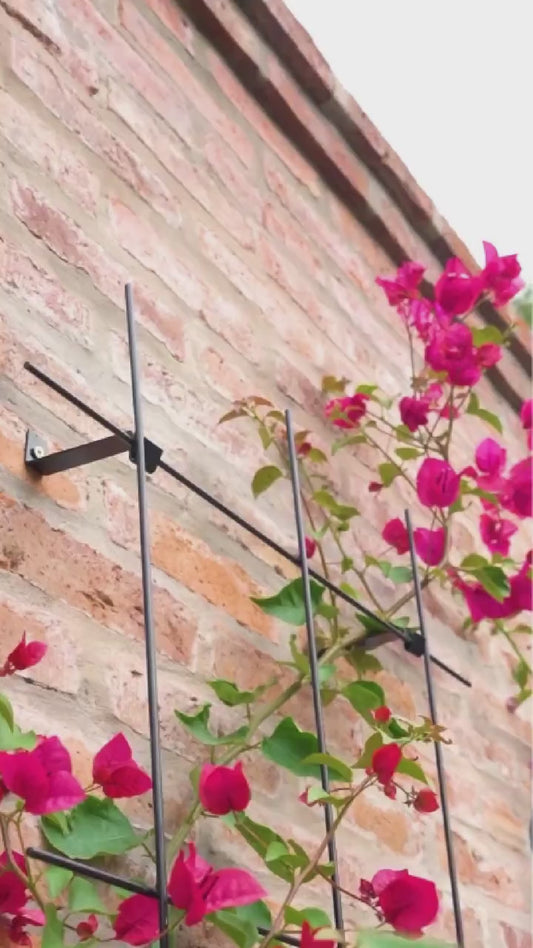 Metal Garden Wall Trellis: Plant Support for Climbing Plants -  Black, White or Rustic Finish